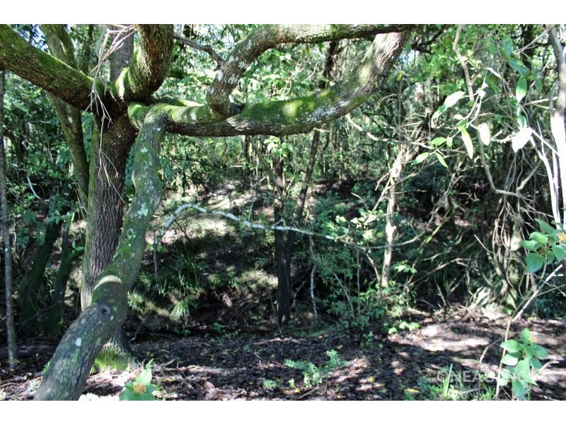 Lot 30,  Chain O Ponds Road, Collombatti NSW 2440