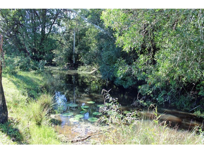 Lot 30,  Chain O Ponds Road, Collombatti NSW 2440