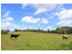 Lot 1094,  Willi Willi Road, Turners Flat NSW 2440