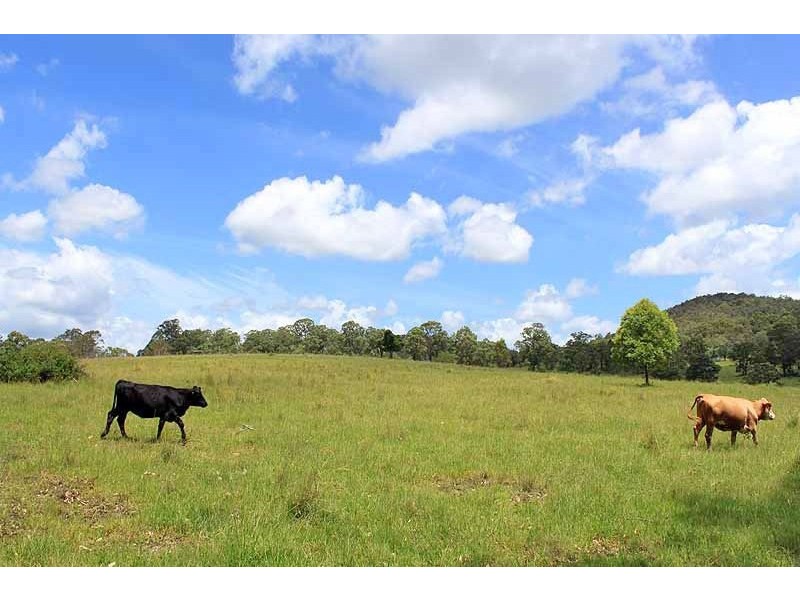 Lot 1094,  Willi Willi Road, Turners Flat NSW 2440