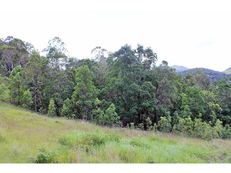 Lot 1094,  Willi Willi Road, Turners Flat NSW 2440