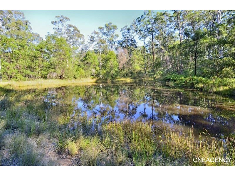 319 Armidale Road, Yarravel NSW 2440