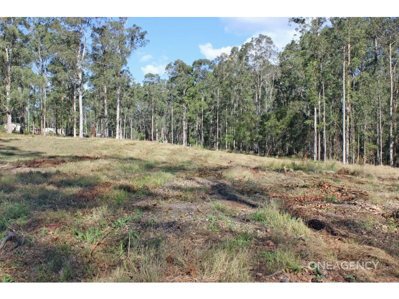 36 Ironbark Crescent, Yarravel NSW 2440