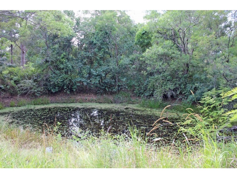 307 Pipers Creek Road, Dondingalong NSW 2440