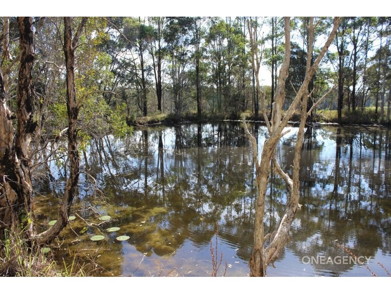 19 Yabsleys Lane, South Kempsey NSW 2440