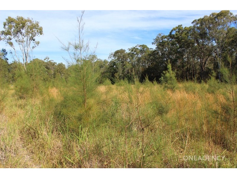 19 Yabsleys Lane, South Kempsey NSW 2440