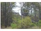 2845 Armidale Road, Hickeys Creek NSW 2440