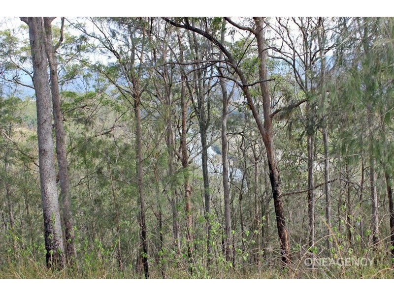 2845 Armidale Road, Hickeys Creek NSW 2440