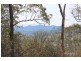 2845 Armidale Road, Hickeys Creek NSW 2440