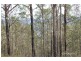 2845 Armidale Road, Hickeys Creek NSW 2440