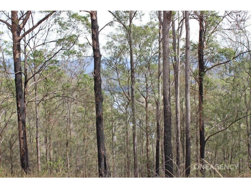 2845 Armidale Road, Hickeys Creek NSW 2440
