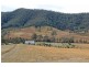 Lot 4 Carrai Road, Willi Willi NSW 2440