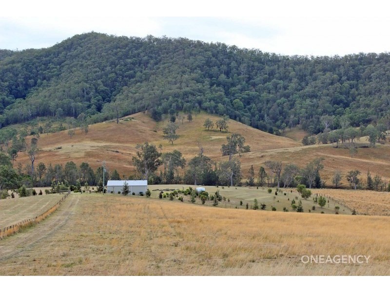 Lot 4 Carrai Road, Willi Willi NSW 2440