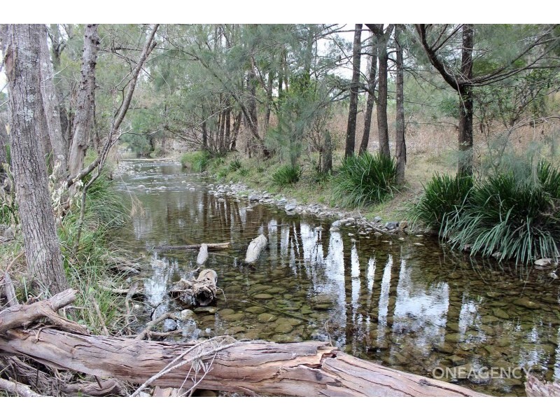 Lot 4 Carrai Road, Willi Willi NSW 2440