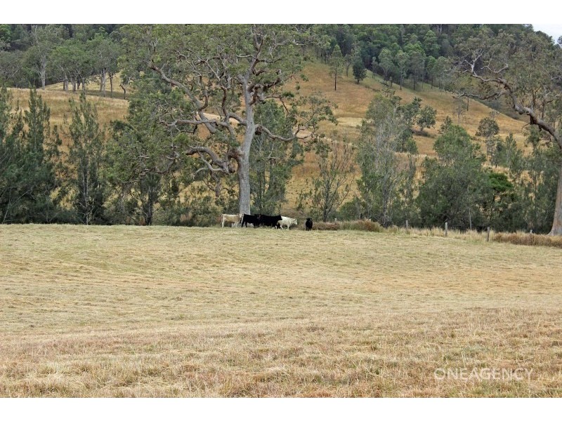 Lot 4 Carrai Road, Willi Willi NSW 2440