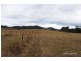 Lot 4 Carrai Road, Willi Willi NSW 2440