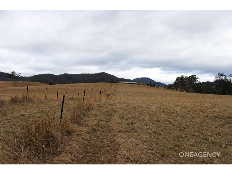 Lot 4 Carrai Road, Willi Willi NSW 2440