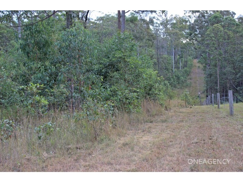 Lot 9 Spooners Avenue, Collombatti NSW 2440