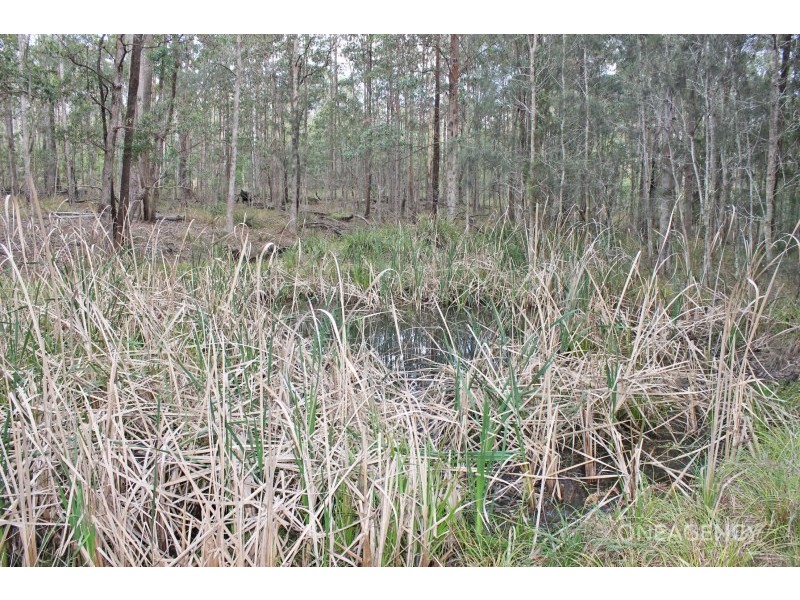 Lot 9 Spooners Avenue, Collombatti NSW 2440