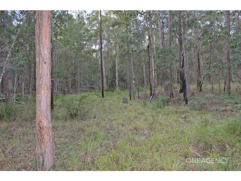 Lot 9 Spooners Avenue, Collombatti NSW 2440