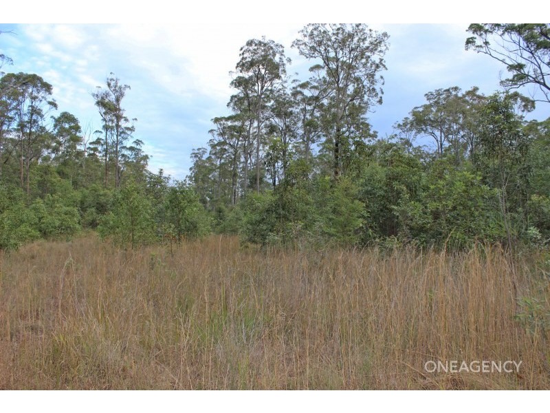 Lot 9 Spooners Avenue, Collombatti NSW 2440