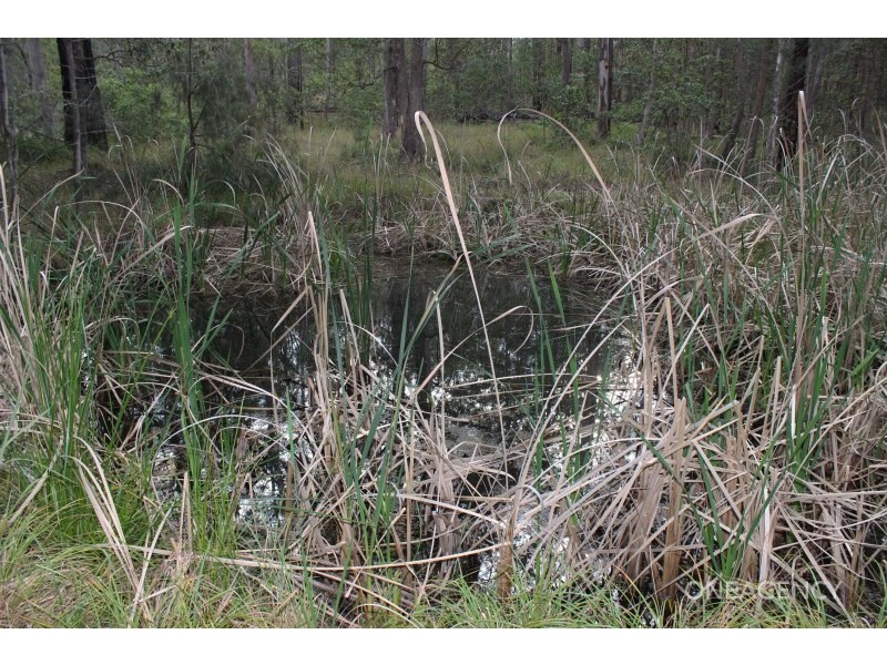 Lot 9 Spooners Avenue, Collombatti NSW 2440