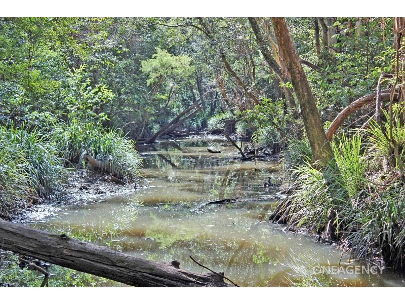 636 Old Coast Road, Kundabung NSW 2441