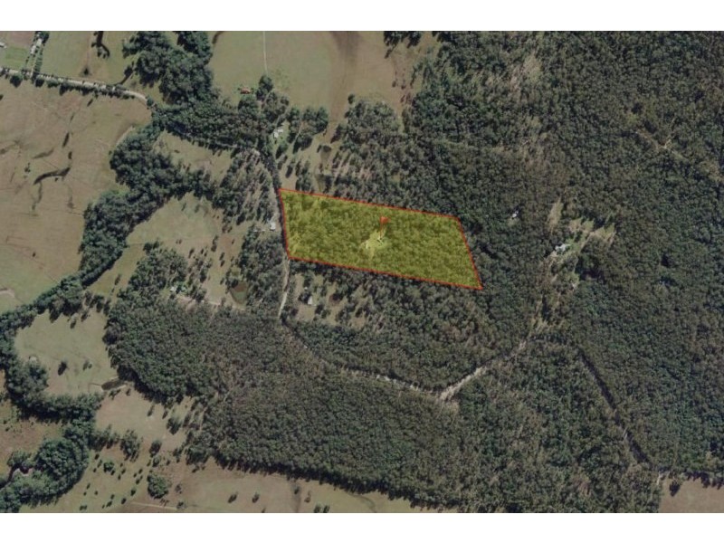1148 Collombatti Road, Collombatti NSW 2440
