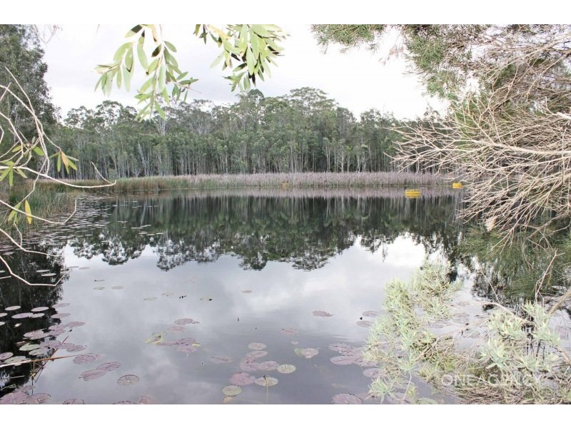 133 Swan Lane, Collombatti NSW 2440