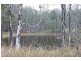 133 Swan Lane, Collombatti NSW 2440