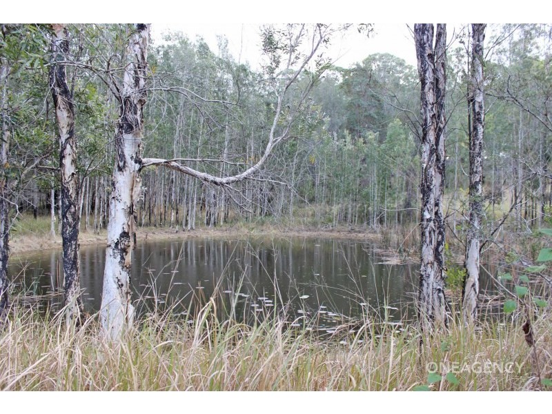 133 Swan Lane, Collombatti NSW 2440