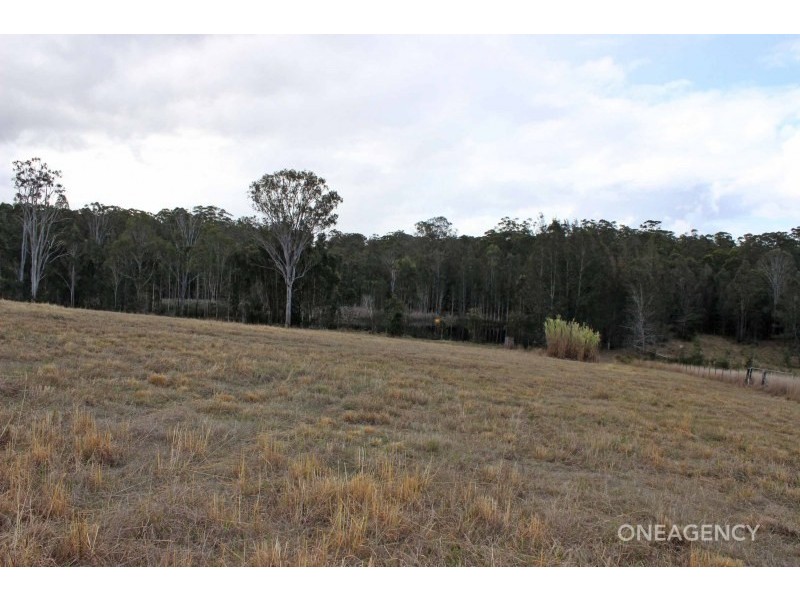 133 Swan Lane, Collombatti NSW 2440