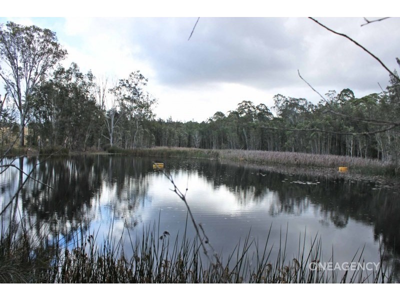 133 Swan Lane, Collombatti NSW 2440