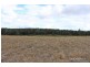 133 Swan Lane, Collombatti NSW 2440