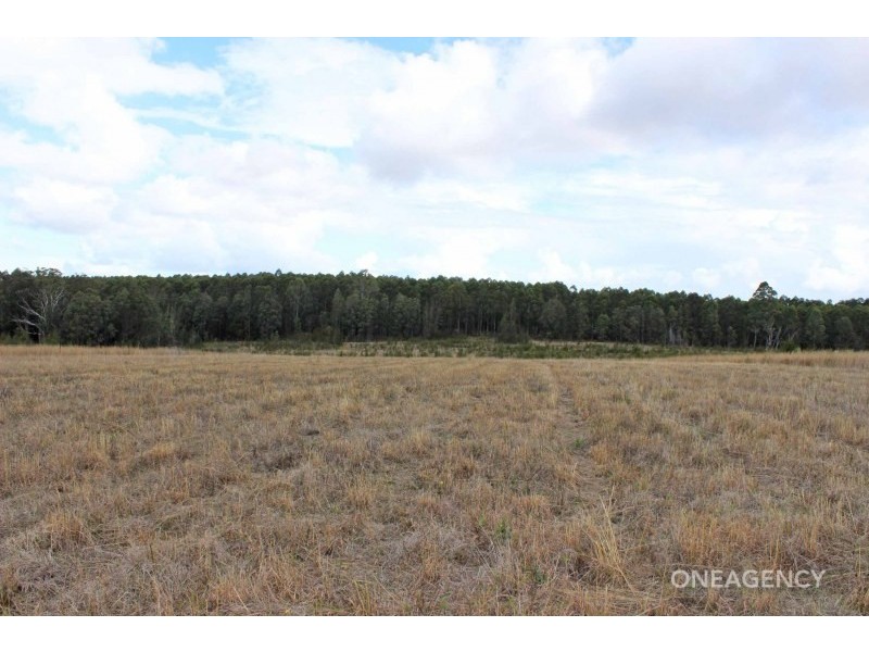 133 Swan Lane, Collombatti NSW 2440