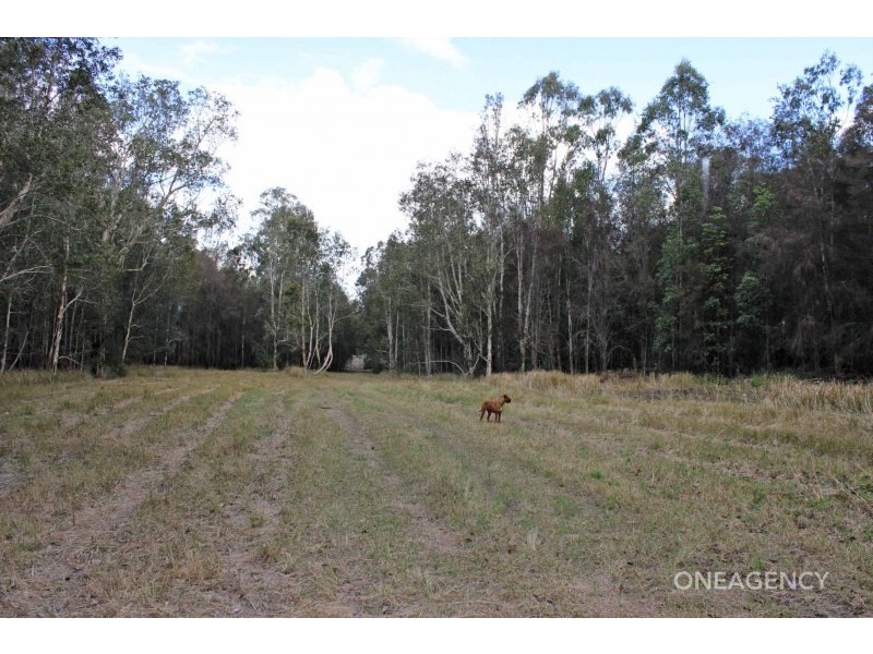 133 Swan Lane, Collombatti NSW 2440