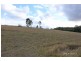 133 Swan Lane, Collombatti NSW 2440