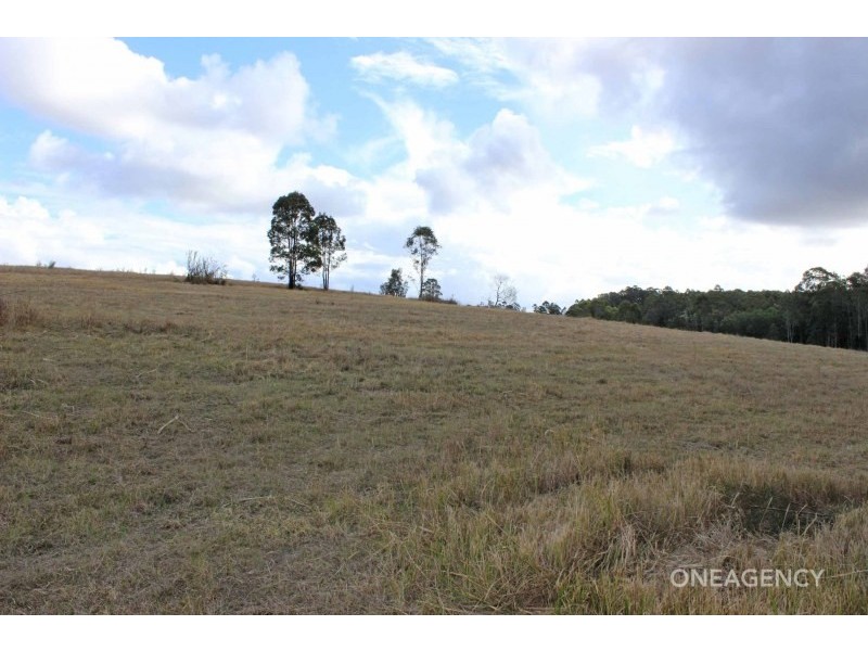 133 Swan Lane, Collombatti NSW 2440