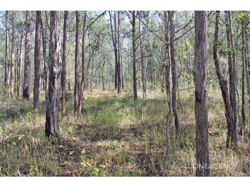 1118 Gowings Hill Road, Sherwood NSW 2440