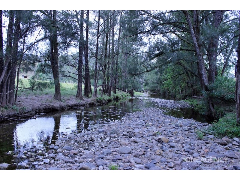 Lot 3 Carrai Road, Willi Willi NSW 2440