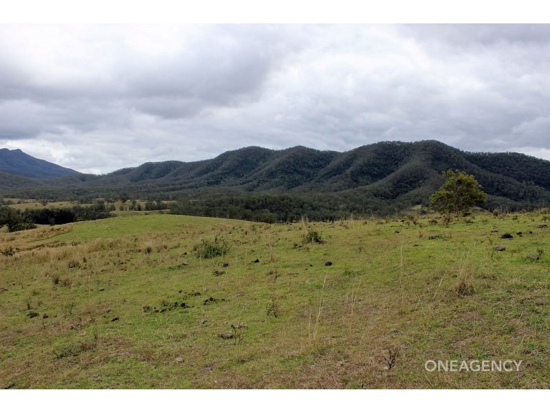 Lot 3 Carrai Road, Willi Willi NSW 2440