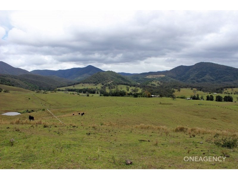 Lot 3 Carrai Road, Willi Willi NSW 2440