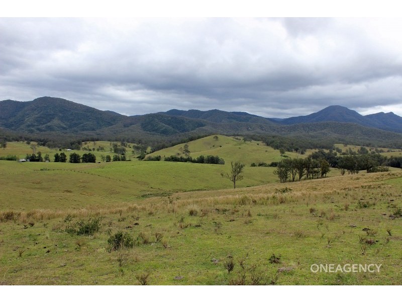 Lot 3 Carrai Road, Willi Willi NSW 2440