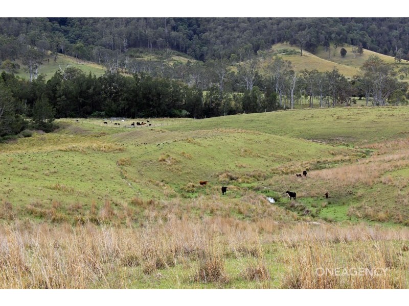 Lot 3 Carrai Road, Willi Willi NSW 2440