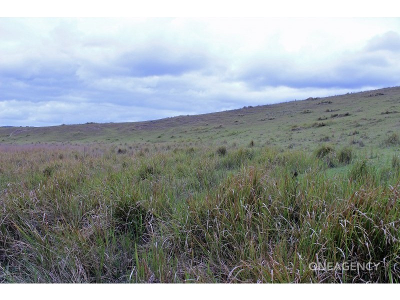 Lot 3 Carrai Road, Willi Willi NSW 2440