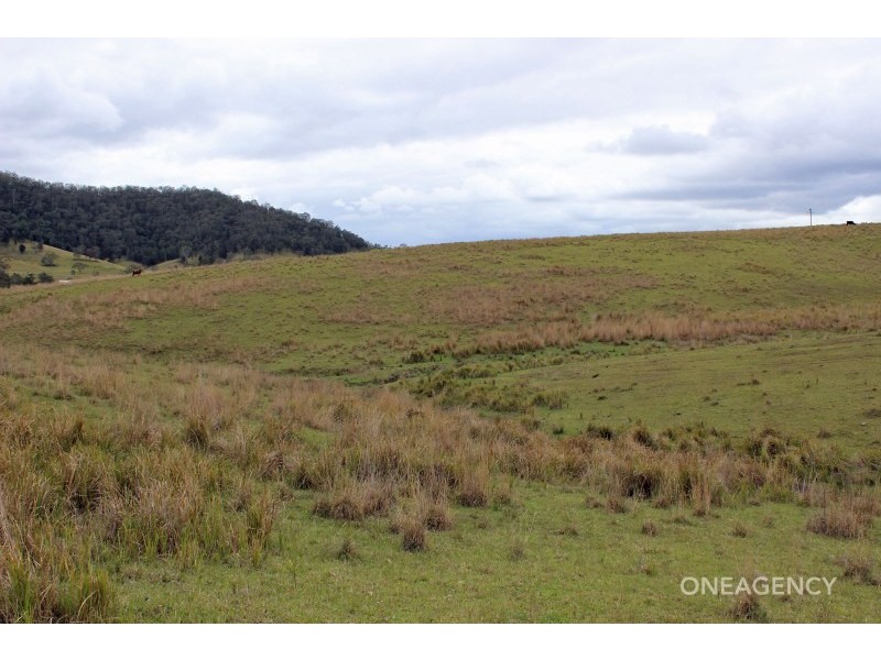 Lot 3 Carrai Road, Willi Willi NSW 2440