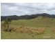 Lot 3 Carrai Road, Willi Willi NSW 2440