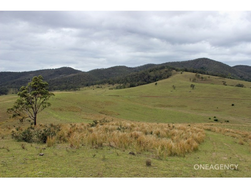 Lot 3 Carrai Road, Willi Willi NSW 2440