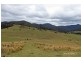 Lot 3 Carrai Road, Willi Willi NSW 2440