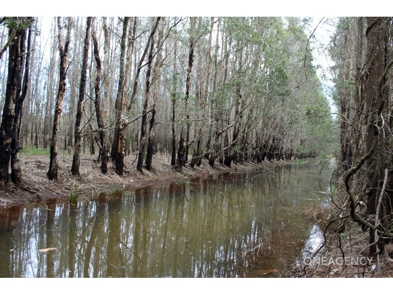 1333 Maria River Road, Crescent Head NSW 2440